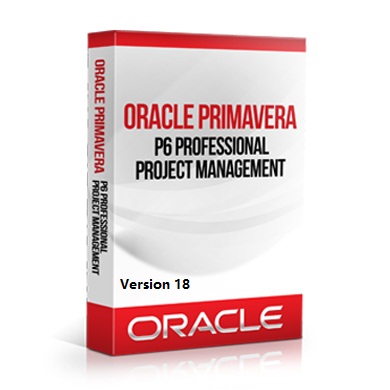 Primavera P6 Professional Project Management Software (Version:18) 12