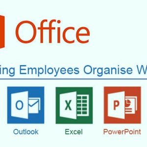 MS Office Professional Essential Training