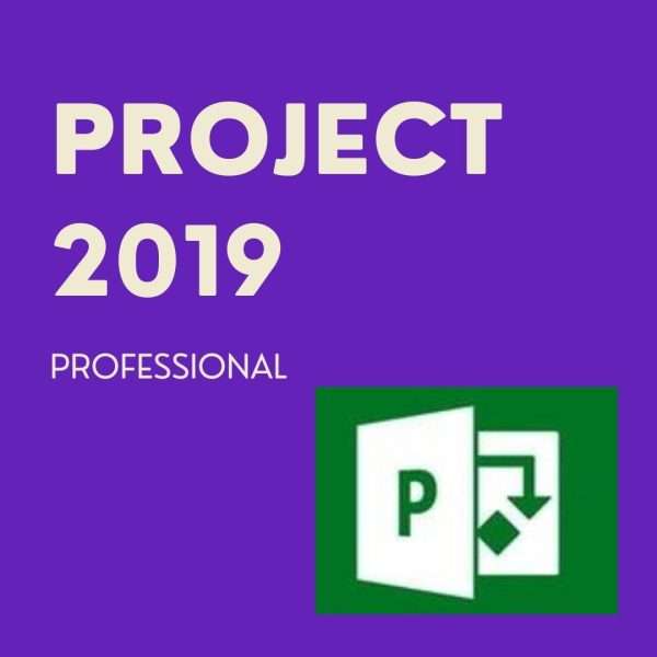 MS 2019 Project Professional Windows 1 PC Online key 3