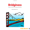 Bridginess More of the Civil Engineering Life 8