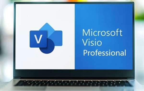 MS Office Visio Professional Windows 1 PC Online Key 1