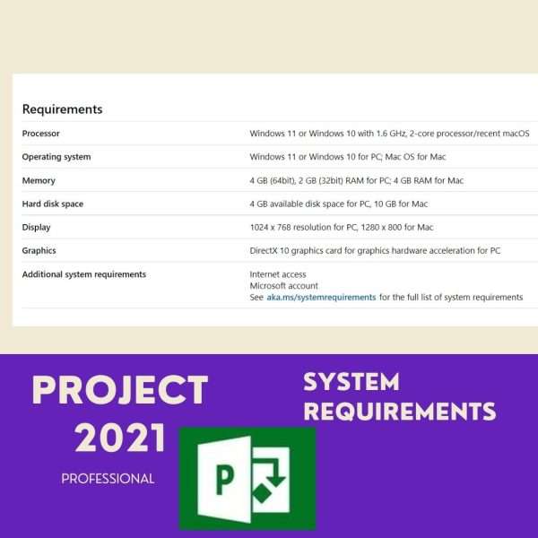 MS 2021 Project Professional Windows 1 PC Online key 3