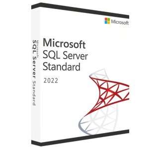 MS SQL Server 2022 Standard | 1 Key for 1 PC